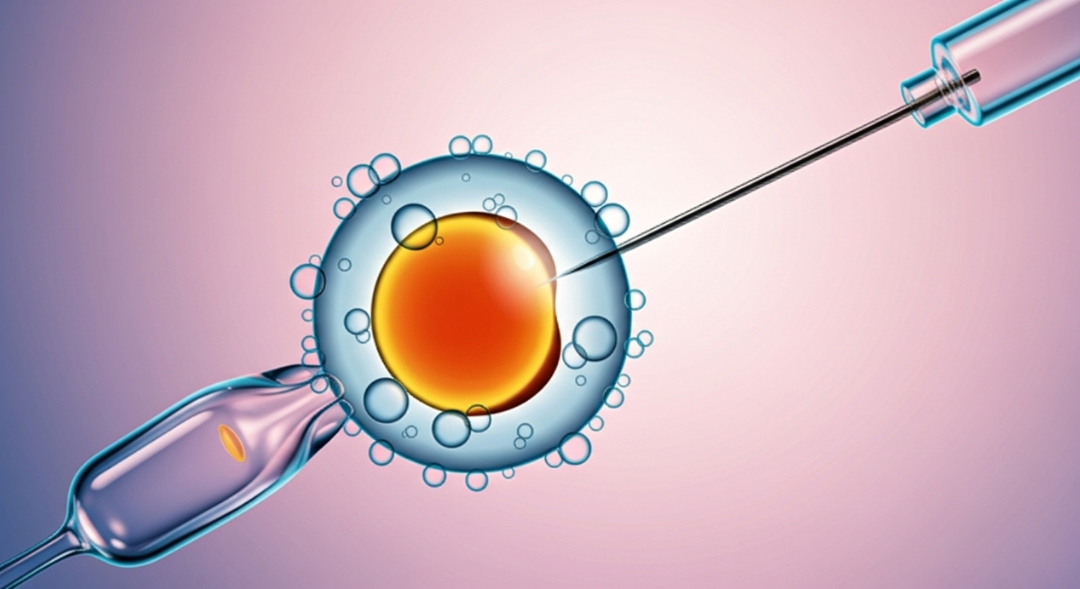 Top 10 Fertility Hospitals in Chennai : Best IVF Centres for Couples